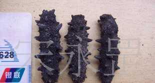長(zhǎng)島海參供應(yīng)與價(jià)格解析 廠家資源與銀聯(lián)安全保障